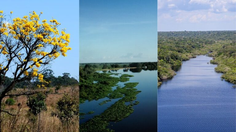 Riquezas e desafios dos três biomas de Mato Grosso – 3 Biomas
